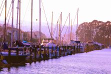 dsc_2962.jpg